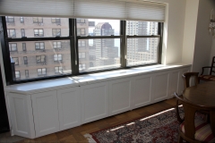 Upper West Side Radiator and AC Cover